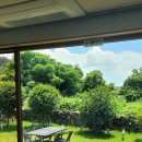 제주살가 이미지