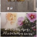 무궁화마을 이미지