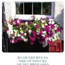 서귀동-32 이미지