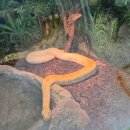 거북공원-2 | 5살 아이랑 광주 근교 실내 가볼 만한 곳 함평 양서 파충류 자연생태공원 동물원 식물원