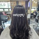 짐피닉스 이미지