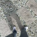 부영농장3 이미지