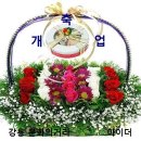 아이더강릉점