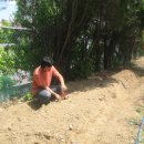 대전대문초등학교 이미지