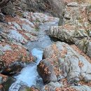 희여울과 꽃나예 이미지