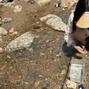 주막촌 | 서울 근교 양주 장흥유원지 추천 맛집 ‘주막촌’에서 힐링 후기