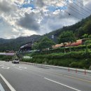 섬진강 레일바이크 | 곡성 아기랑 섬진강 레일바이크 타기