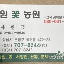 백현고가교 이미지