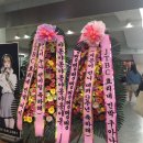 야옹야옹 이미지