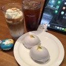 루체화원
