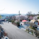 안성비봉산 캠핑장 티스토리