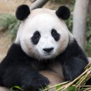 달동 마을문고 | 11월 ... 뾰로롱 ꔛ✰ (1)