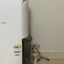 엘지유니참(주) | 유니참스타터키트] 사막화방지! 냄새방지 ! 데오토일렛 사용후기