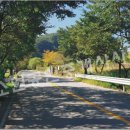 대소원공인중개사사무소 이미지