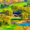 하프로 스크린골프 이미지