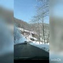 소셜플랜트차원 | 서울숲 정원박람회 ,인기이유후기