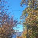 페나테스 | [국내여행] 충주 페나테스 풀빌라 방문후기