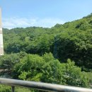 새한크린 이미지