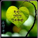 큰손공인중개사사무소 이미지