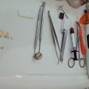 서울닥터김치과의원 이미지