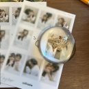GS25 대전둔산점 | [일상] 노잼도시유잼여행