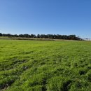 대연목장 이미지