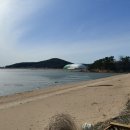 (주)티피팜 이미지