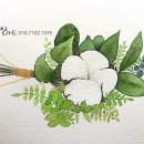 수채 일러스트 이미지