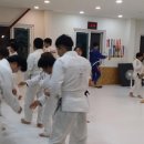 칼슨그레이시 코리아 이미지