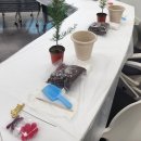 12/11 크리스마스 생화 트리 이미지