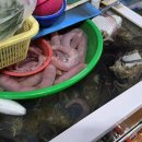 격포어촌계수산물회센타B-5
