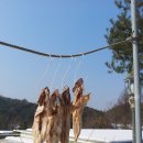 힐탑세탁소