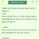 퀸즈헤나 이미지