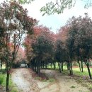 홍가농장 이미지