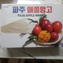 윤미농장 | 국산 애플망고, 아이들 간식으로 최고!! (파주 윤미농원)