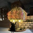 빅약국 | 다이소 추천템 발견! 마데카 빅 패치 육아필수템 솔직 후기