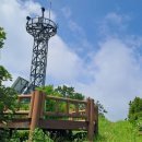 화학산등산로 이미지