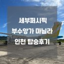 6056 | 세부퍼시픽 코론 부수앙가 DG 6056 마닐라 인천 5J188 탑승후기