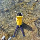 쉘부르황토펜션 이미지