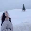 연아수산 | [삿포로여행] 삿포로 4박5일 여행 후기(다루마&amp;비에이투어&amp;오타루&amp;조잔케이 유라쿠소안 료칸)