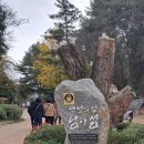 철원농장 | 부산출발 철원남이섬 1박2일 투어 리얼후기