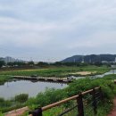 정림세월교 Daum카페