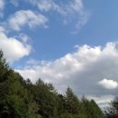 뒷골옛집 이미지