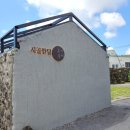 표선달채 이미지