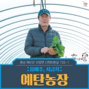 재주농장 네이버블로그