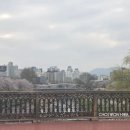 최원화벨레사 네이버블로그