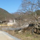 보성강3 이미지