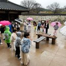 역사문화탐방 이미지