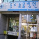 동수동물병원 | 인천 부평동 동물병원 동수동물병원 위치 오는길 후기