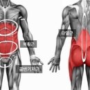 슈브로 이미지